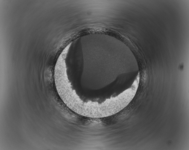 X0000114620715200912011001