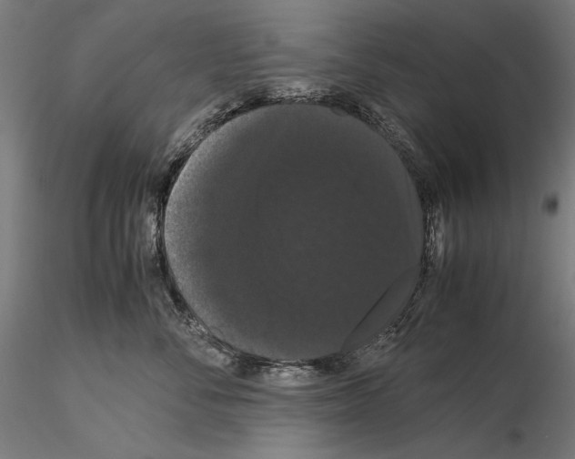 X0000114620716200912011001