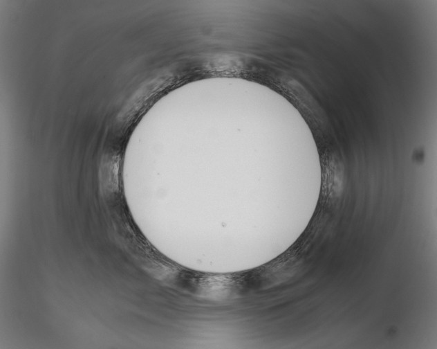 X0000114620717200912011001