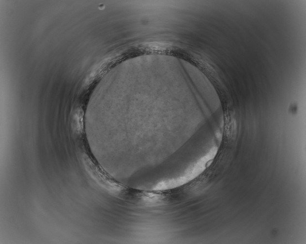 X0000114620718200912011001