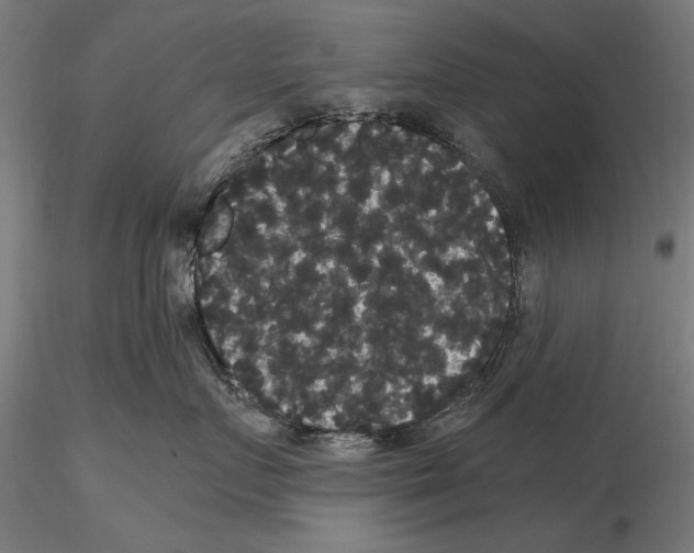 X0000114620719200912011001