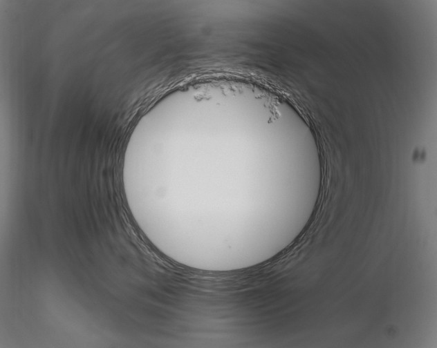 X0000114620720200912011001