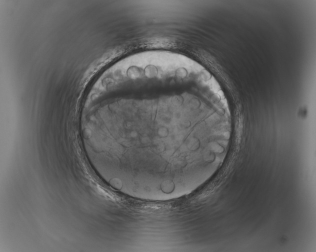 X0000114620721200912011000