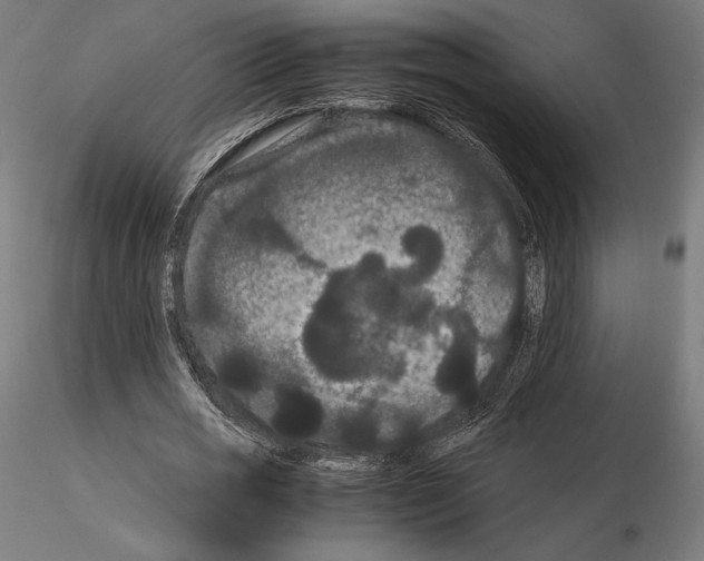 X0000114620725200912011000