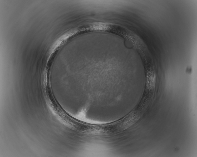 X0000114620726200912011000