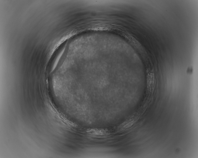 X0000114620727200912011000