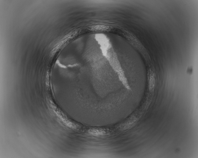 X0000114620729200912011000