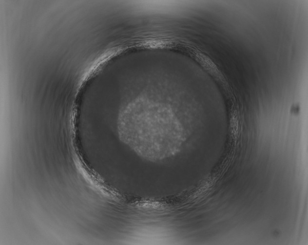 X0000114620730200912011000