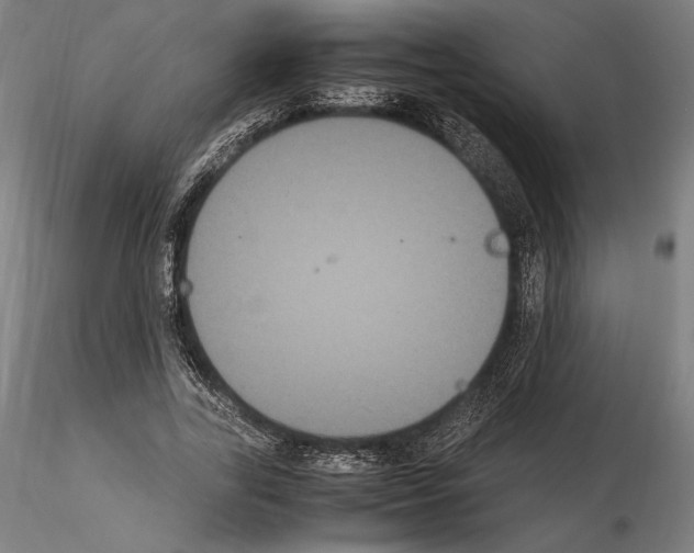 X0000114620731200912011000