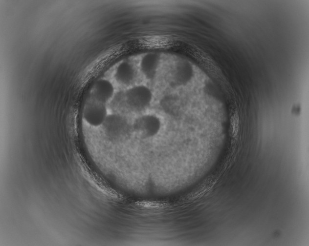 X0000114620733200912011000