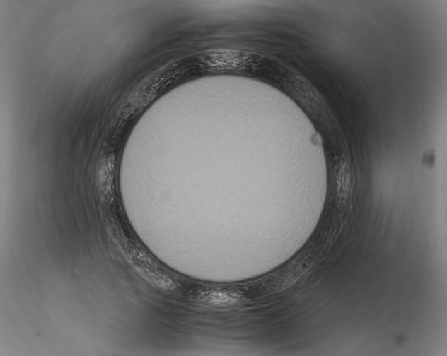 X0000114620737200912011000