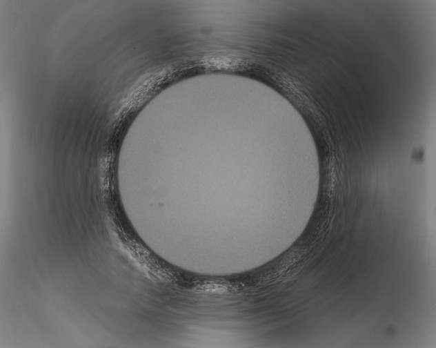 X0000114620738200912011000