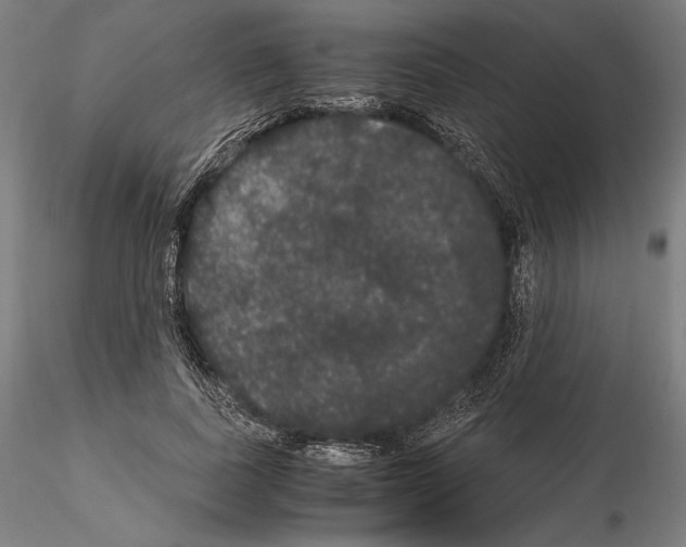 X0000114620739200912011000