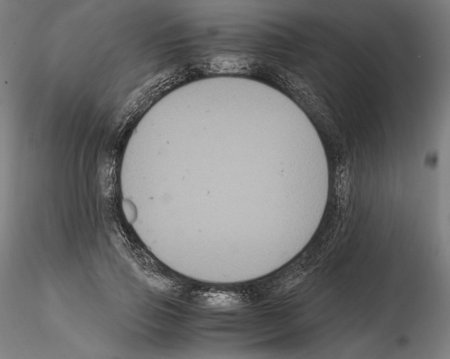 X0000114620741200912011000