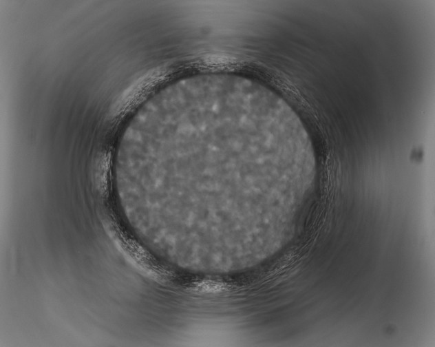 X0000114620742200912011001