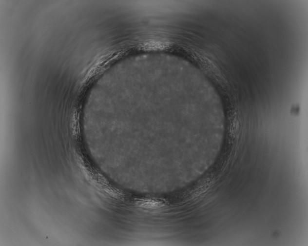 X0000114620743200912011001