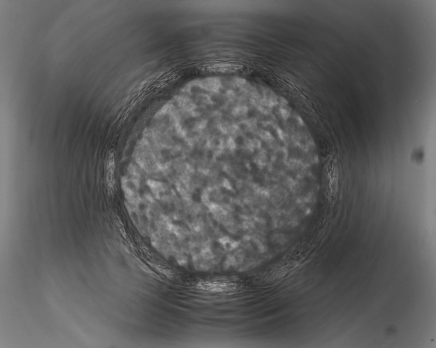 X0000114620745200912011001