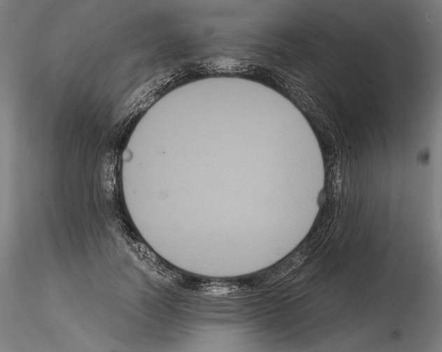 X0000114620746200912011001