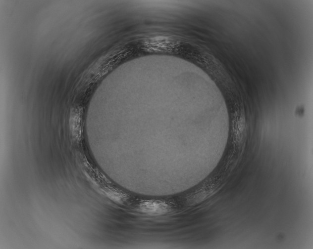 X0000114620749200912011001