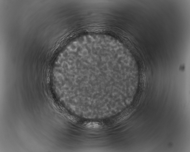 X0000114620751200912011001