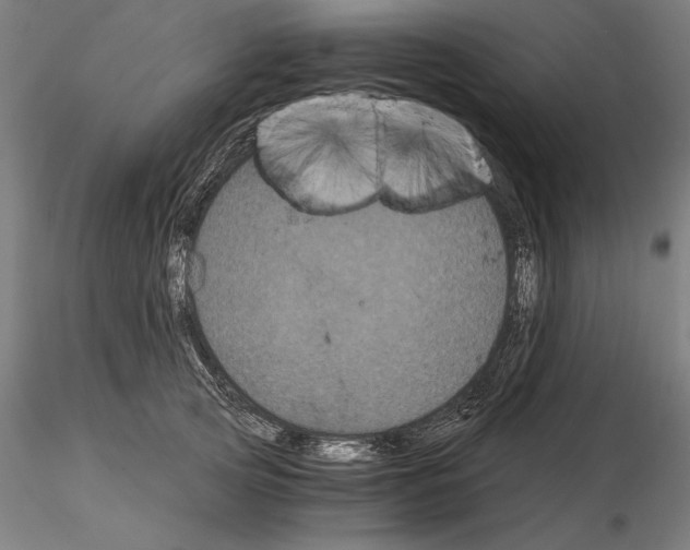 X0000114620753200912011001