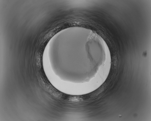 X0000114620754200912011001