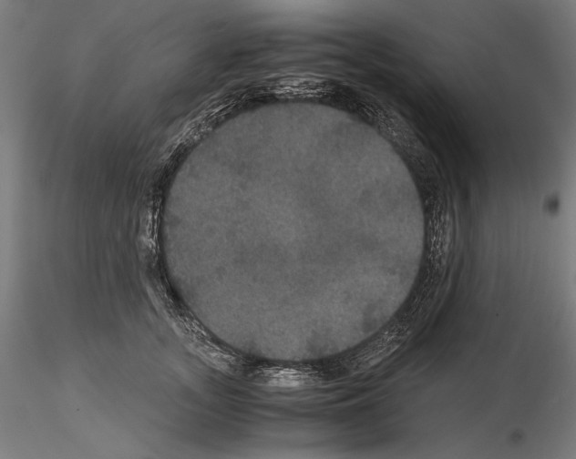 X0000114620755200912011001