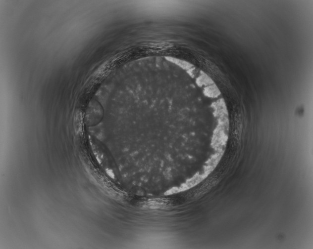 X0000114620758200912011001