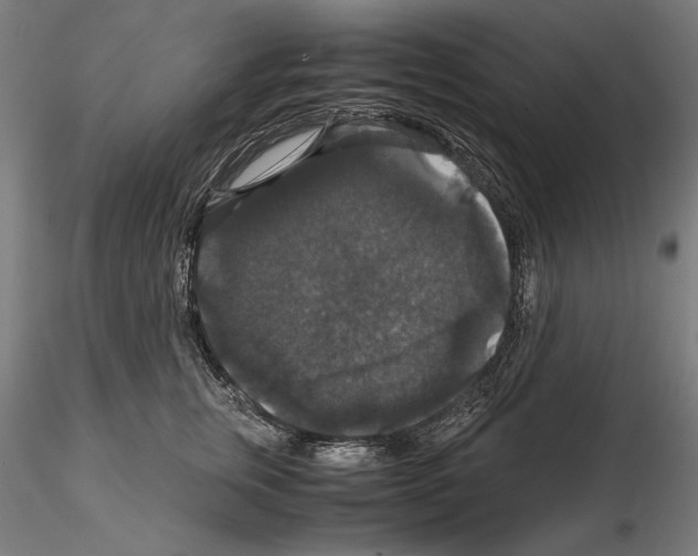 X0000114620759200912011001