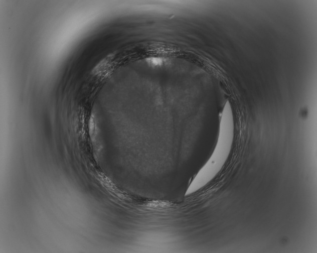 X0000114620762200912011001