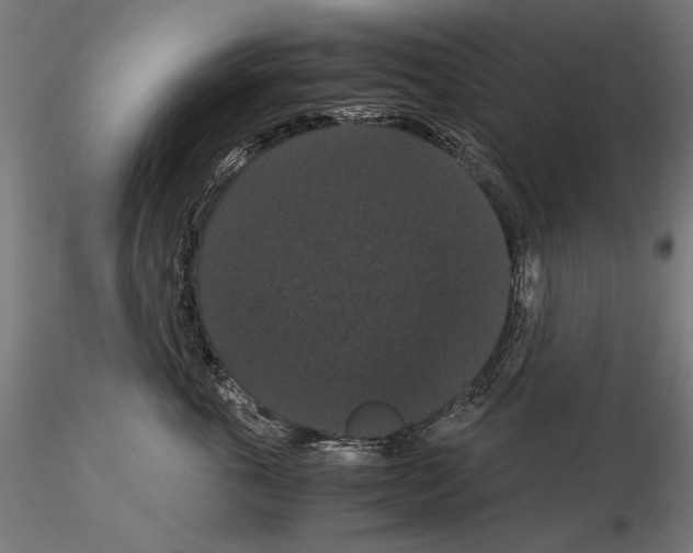 X0000114620763200912011001