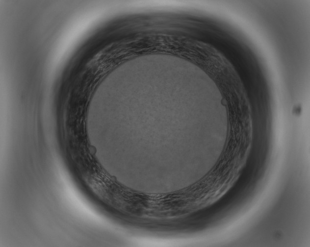 X0000114620766200912011001