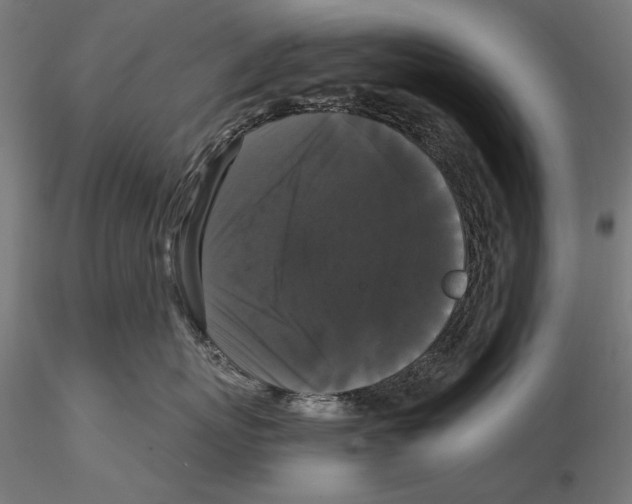 X0000114620767200912011001