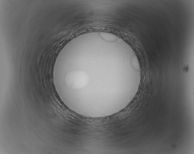 X0000114620769200912011000