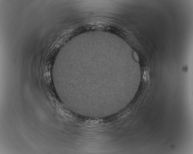 X0000114620771200912011000