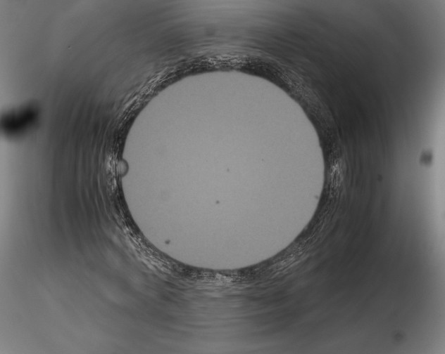 X0000114620772200912011000