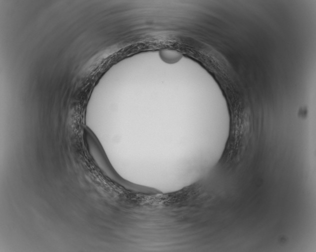 X0000114620773200912011000