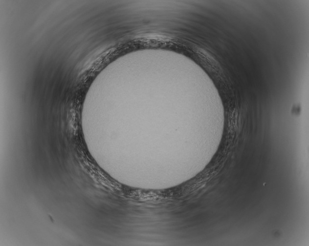 X0000114620774200912011000