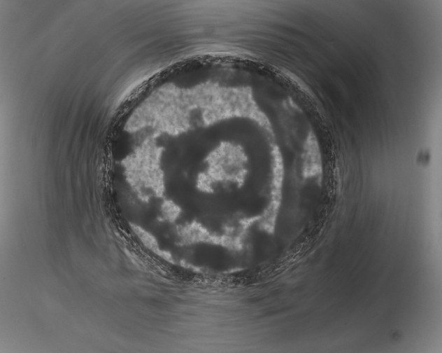 X0000114620775200912011000