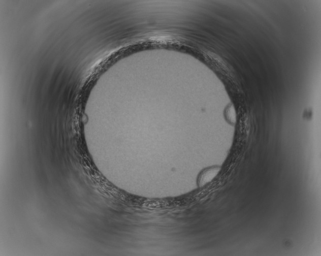 X0000114620776200912011000