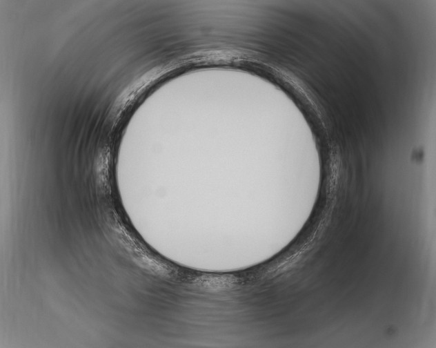 X0000114620778200912011000