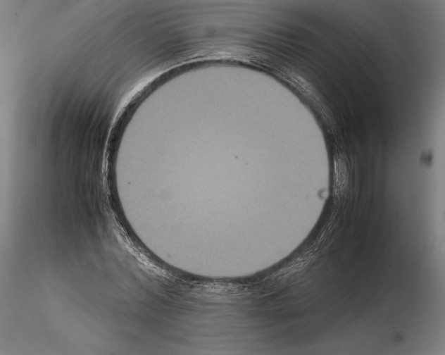 X0000114620780200912011000