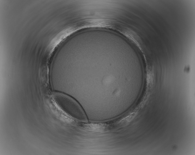 X0000114620781200912011000