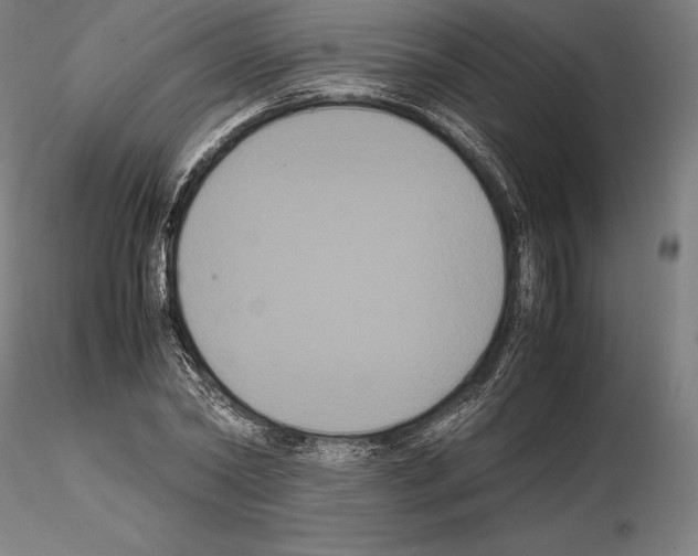 X0000114620782200912011000