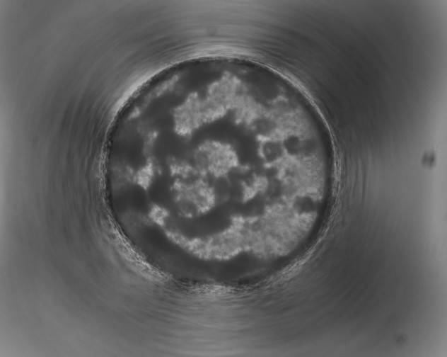 X0000114620783200912011000