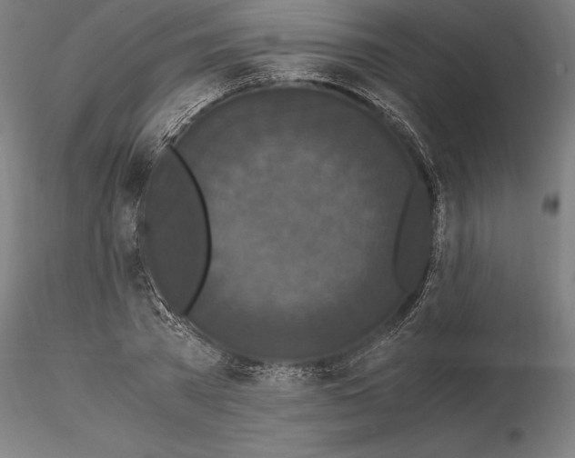 X0000114620785200912011000