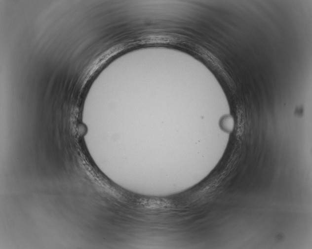 X0000114620786200912011000