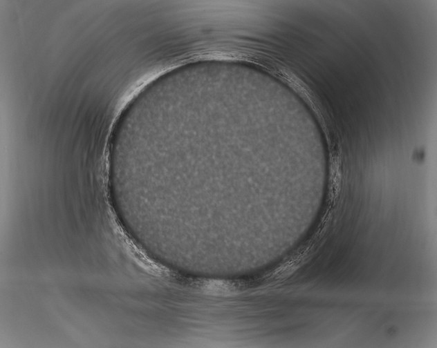 X0000114620787200912011000