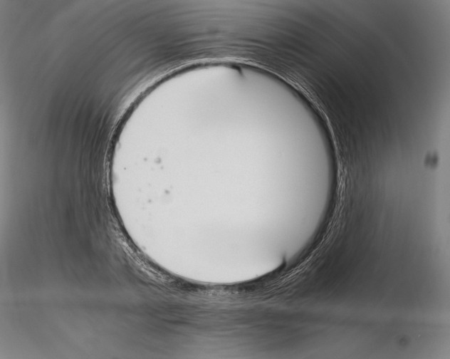 X0000114620789200912011000