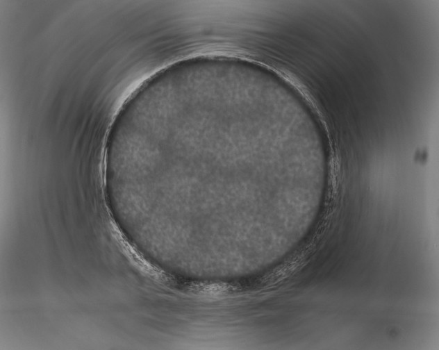 X0000114620791200912011000